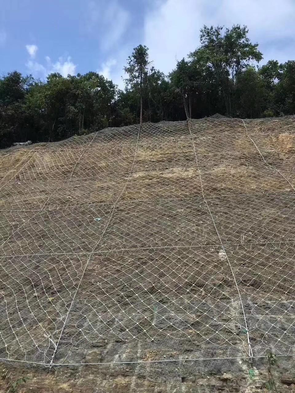 自动防护网实景